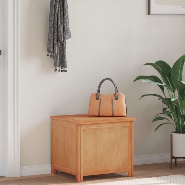 vidaXL Geymslukassi me&eth; geymslu N&aacute;tt&uacute;rulegur 50 x 45 x 45 cm