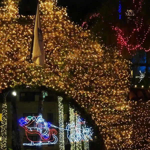 vidaXL Led net D&ouml;kkgr&aelig;n