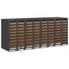 vidaXL R&uacute;llusk&aacute;pur fyrir 3 ruslatunnur Antras&iacute;t 340 x 77.5 x 115.5 cm