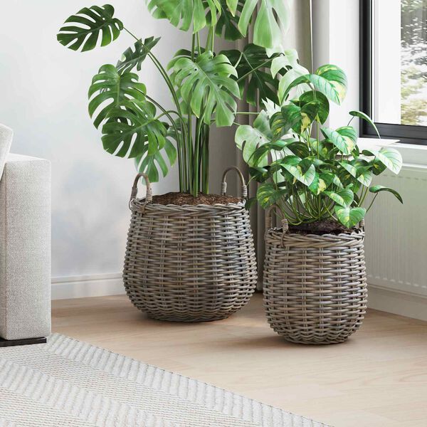 vidaXL Pl&ouml;ntuk&ouml;rfu me&eth; geymslu 2 pcs Gr&aacute;r Lacak Rattan