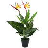 vidaXL Gerviplanta Parad&iacute;sarfuglabl&oacute;m 66 cm