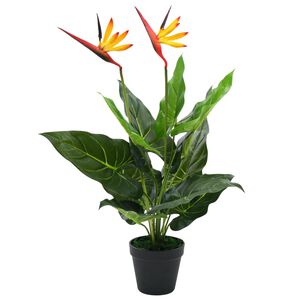 vidaXL Gerviplanta Parad&iacute;sarfuglabl&oacute;m 66 cm