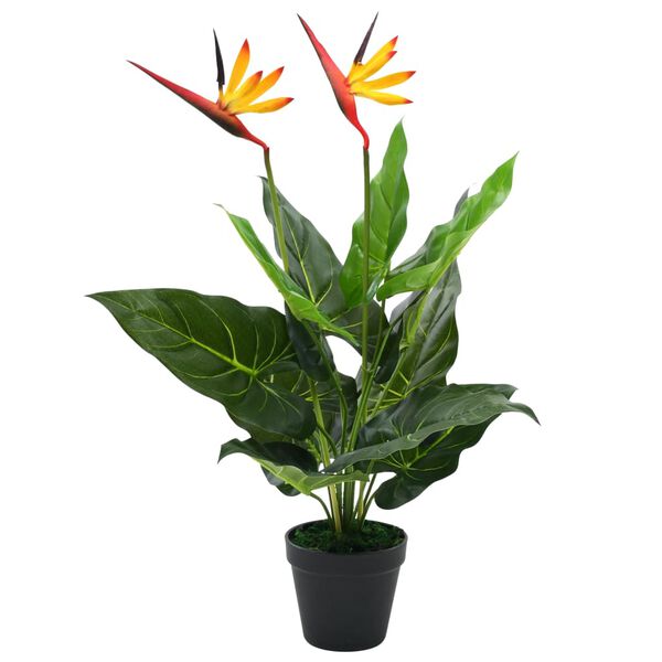 vidaXL Gerviplanta Parad&iacute;sarfuglabl&oacute;m 66 cm