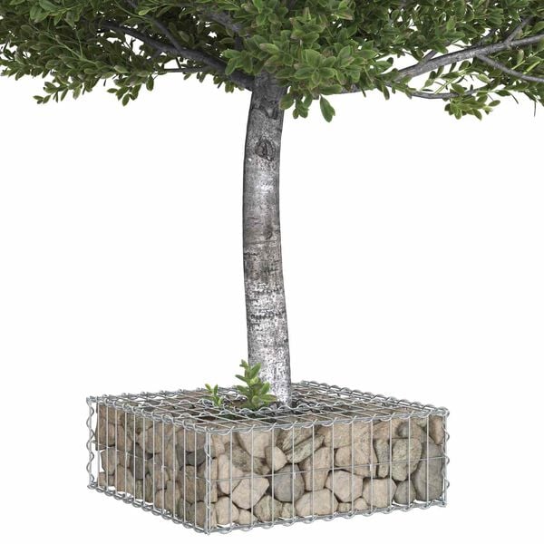 vidaXL Gabion h&aelig;kka&eth; r&uacute;m Silfur 60 x 60 x 20 cm Galvaniserad st&aacute;l