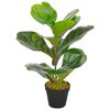 vidaXL Gerviplanta Fi&eth;luf&iacute;kus me&eth; Bl&oacute;mapotti Gr&aelig;nn 45 cm