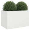 Sm&aacute;mynd af v&ouml;ru 4 af 11