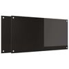 vidaXL Eldh&uacute;sbak 2 pcs Svartur 100 x 50 cm hertu&eth; gler