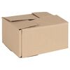 vidaXL Faldandi Kassi 50 pcs N&aacute;tt&uacute;rulegur 20 x 15 x 10 cm Pappi