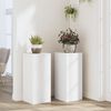 vidaXL Pl&ouml;ntustandar 2 stk Hv&iacute;tir 30x30x70 cm Samsettur Vi&eth;ur