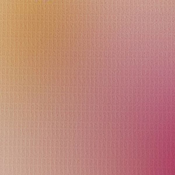 vidaXL Samanbrjótanlegt Skilrúm fyrir Herbergi 217x170 cm Blóm