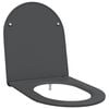 vidaXL WC sete Antras&iacute;t 47 x 36 x 3,4 cm Duroplast