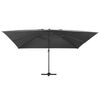 Sm&aacute;mynd af v&ouml;ru 2 af 9