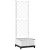 vidaXL Gr&oacute;&eth;urkassi me&eth; Rimlagrind 40x40x121,5 cm Hv&iacute;tt PP