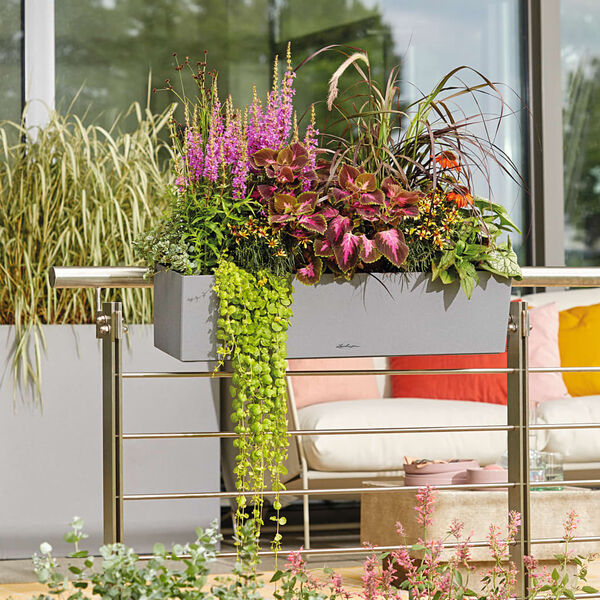 LECHUZA Gr&oacute;&eth;urker "BALCONERA Stone 80 ALL-IN-ONE" Gr&aacute;tt