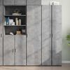 vidaXL H&aacute;r Sk&aacute;pur Steypugr&aacute;r 45x42,5x185 cm Samsettur Vi&eth;ur