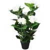 vidaXL Gerviplanta Hortens&iacute;a me&eth; Bl&oacute;mapotti 60 cm Hv&iacute;t
