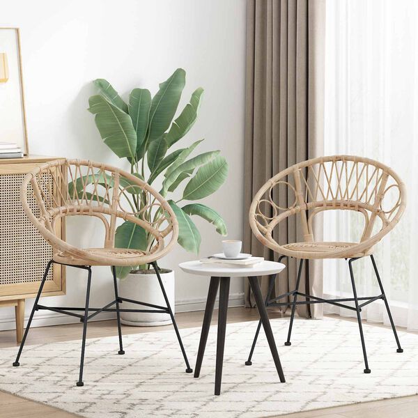 vidaXL Bor&eth;st&oacute;ll 2 pcs N&aacute;tt&uacute;rulegur 49 x 51 x 81 cm Rattan og j&aacute;rn