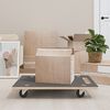vidaXL Trillur 2 stk. R&eacute;tthyrndar 80x55x11,5 cm 250 kg