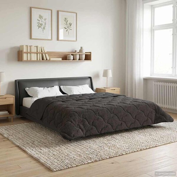vidaXL Full &aacute;rs d&yacute;na Antras&iacute;t 200 x 220 cm Microfiber og Teddy f&oacute;&eth;ri&eth;