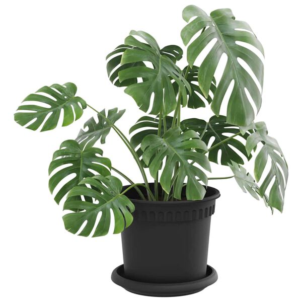 S&yacute;nir v&ouml;rumynd 3 af 12