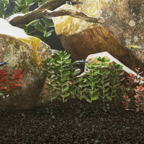 S&yacute;nir v&ouml;rumynd 2 af 5