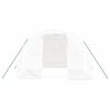 vidaXL Gróðurhús með Stálgrind Hvítt 6 m² 3x2x2 m
