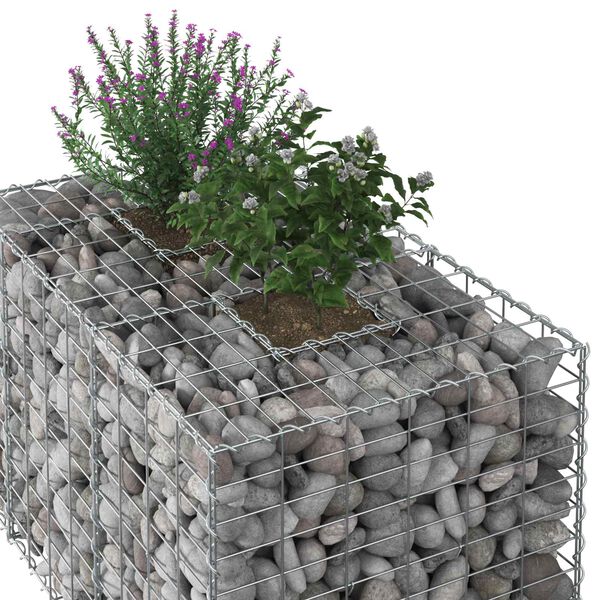 vidaXL Gabion h&aelig;kka&eth; r&uacute;m Silfur 100 x 60 x 55 cm Galvaniserad st&aacute;l