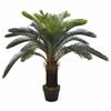 vidaXL Gerviplanta Cycas P&aacute;lmi me&eth; bl&oacute;mapotti Gr&aelig;nn 90 cm
