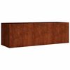 vidaXL Upph&aelig;kka&eth; Gar&eth;ker 120x40x40 cm Corten St&aacute;l