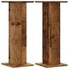 vidaXL Pl&ouml;ntustandar 2 stk Vi&eth;arlitur 30x30x80 cm Samsettur Vi&eth;ur