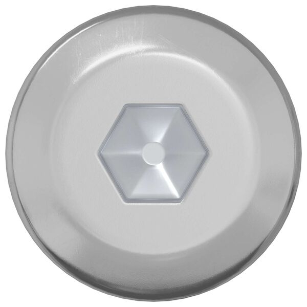 vidaXL Skr&uacute;fa 2 pcs Silfur M6 x 120 mm St&aacute;l