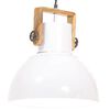 vidaXL Hengilampi &iacute; I&eth;na&eth;arst&iacute;l 25 W Hv&iacute;tur Hringlaga 40 cm E27