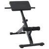 vidaXL Hyperextension bekkur Svartur 100.5 x 70 x 78 cm Dufth&uacute;&eth;a&eth; st&aacute;l