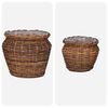 vidaXL Pl&ouml;ntuk&ouml;rfu me&eth; geymslu 2 pcs Br&uacute;nn Lacak rattan