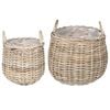 vidaXL Pl&ouml;ntuk&ouml;rfu me&eth; geymslu 2 pcs Gr&aacute;r Lacak Rattan