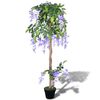 Gerviplanta Bl&aacute;regn &iacute; Potti 120 cm