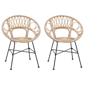 vidaXL Bor&eth;st&oacute;ll 2 pcs N&aacute;tt&uacute;rulegur 49 x 51 x 81 cm Rattan og j&aacute;rn