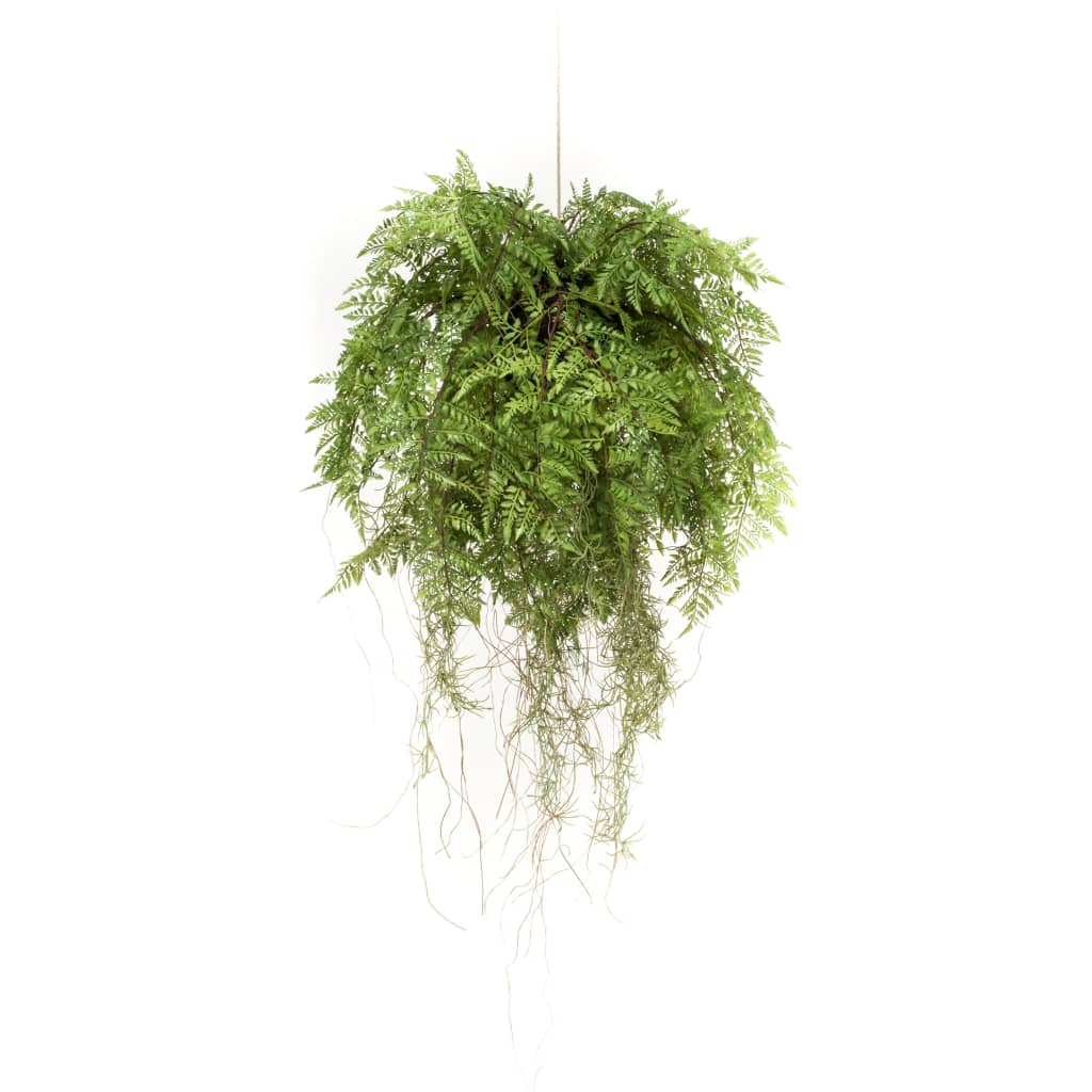 Emerald Gerviplanta Hangandi Burkni með Rótum 55 cm