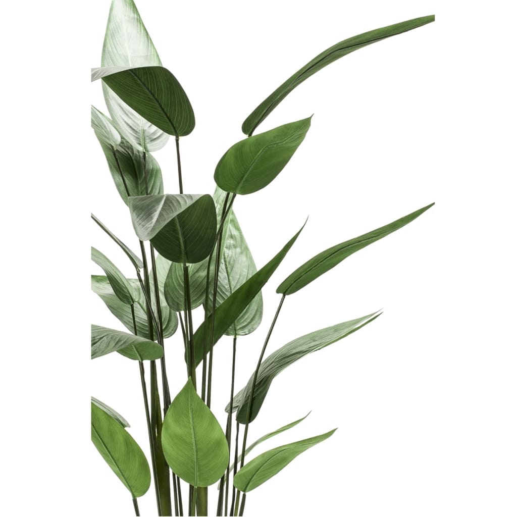 Emerald Klólilja Gerviplanta Græn 125 cm 419837