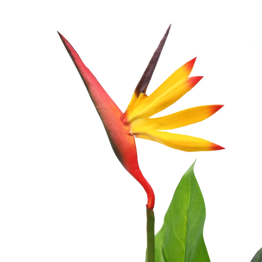 vidaXL Gerviplanta Paradísarfuglablóm 66 cm