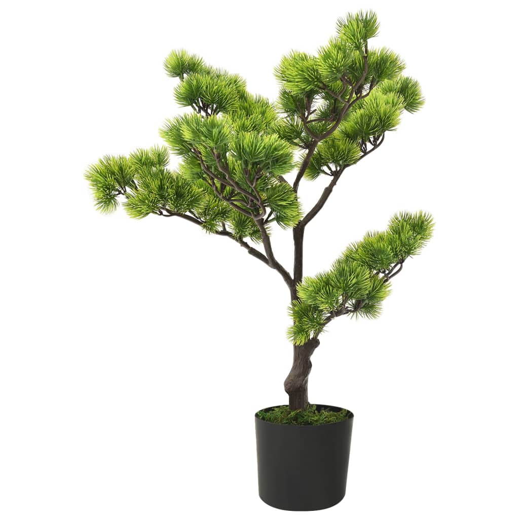 vidaXL Pinus Bonsai gerviplanta með potti 60 cm Græn